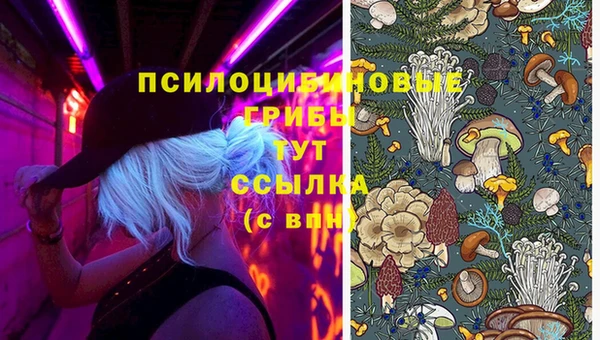 бошки Алзамай