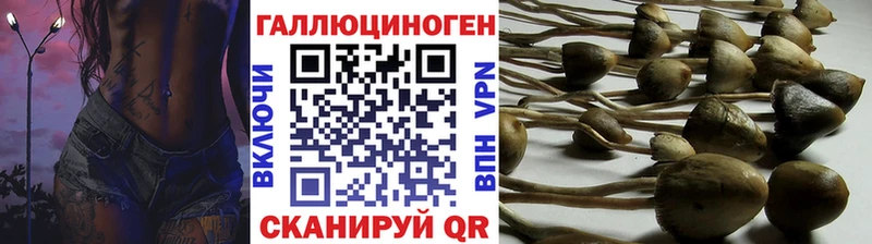 Галлюциногенные грибы мухоморы  ОМГ ОМГ tor  Николаевск-на-Амуре  где продают наркотики 